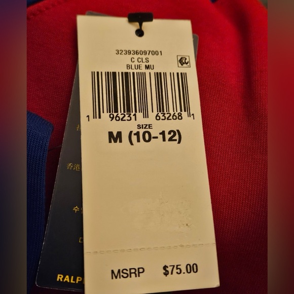 KID’S POLO BY RALPH LAUREN  COLOR-BLOCKED ZIP-UP HOODIE - Picture 6 of 12